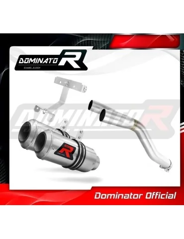 Silencieux slip-on Dominator GP pour Yamaha FZ6 Fazer 600 S2 (2006-2010)