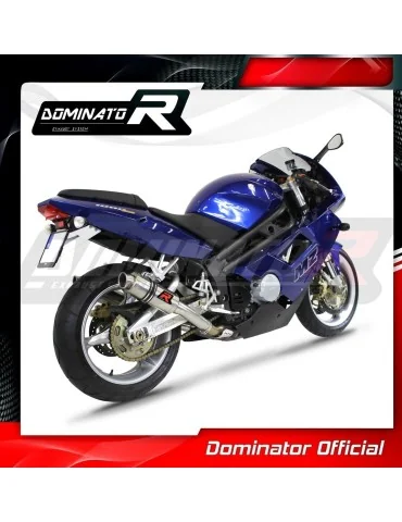 Silencieux slip-on Dominator GP1 pour MuZ MZ 1000 S (2004-2007)