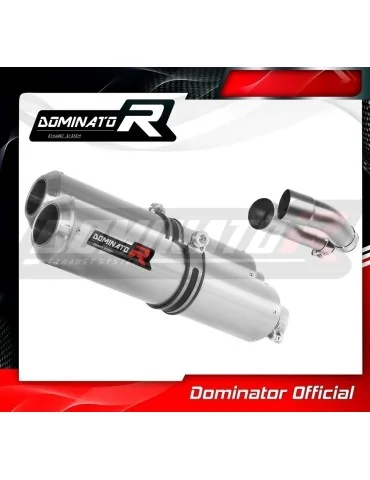 Silencieux slip-on Dominator GP pour Yamaha MT 01 1700 (2005-2012)