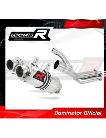 Silencieux slip-on Dominator GP1 pour Honda FMX 650 (2005-2009)