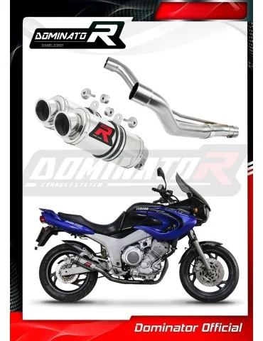 Silencieux slip-on Dominator GP1 pour Yamaha TDM 850 (1996-2001)
