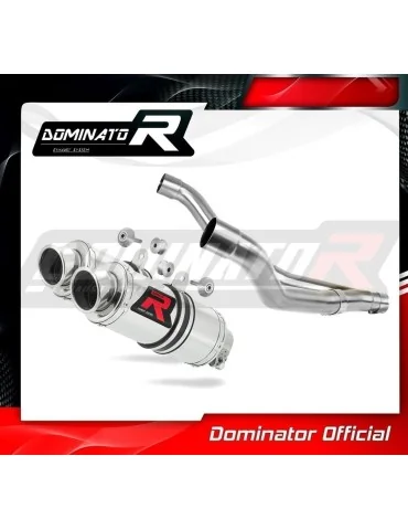 Silencieux slip-on Dominator GP1 pour Yamaha TDM 850 (1996-2001)