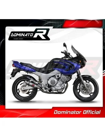Silencieux slip-on Dominator GP1 pour Yamaha TDM 850 (1996-2001)