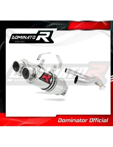 Silencieux slip-on Dominator GP1 pour KTM 990 Super Duke (2005-2013)