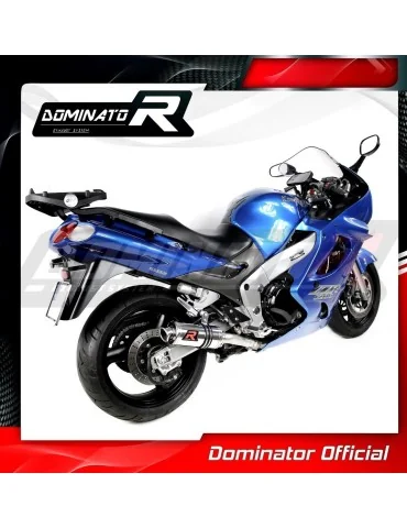 Silencieux slip-on Dominator GP1 pour Kawasaki ZZR 1200 (2002-2005)