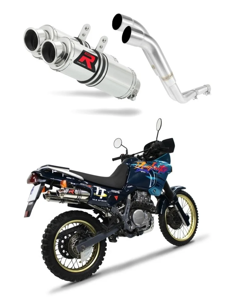 Silencieux slip-on Dominator GP1 pour Honda NX 650 Dominator RD02 (1988-1994)