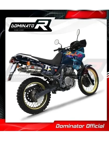 Silencieux slip-on Dominator GP1 pour Honda NX 650 Dominator RD02 (1988-1994)