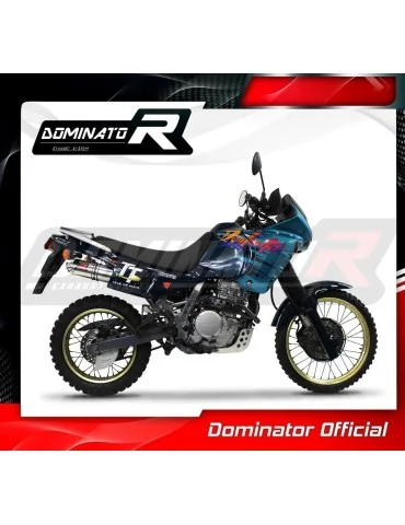 Silencieux slip-on Dominator GP1 pour Honda NX 650 Dominator RD02 (1988-1994)
