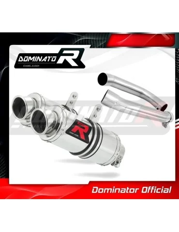 Silencieux slip-on Dominator GP1 pour Honda VTR 1000F Firestorm (1998-2001)