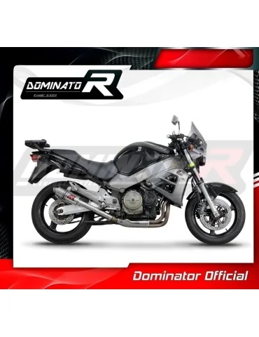 Silencieux slip-on Dominator GP1 pour Honda CB 1100 X11