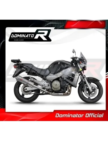 Silencieux slip-on Dominator OV pour Honda CB 1100 X11