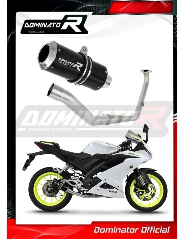Ligne d'échappement complète inox Dominator GP Noir pour Yamaha YZF R125 (2021-2024)