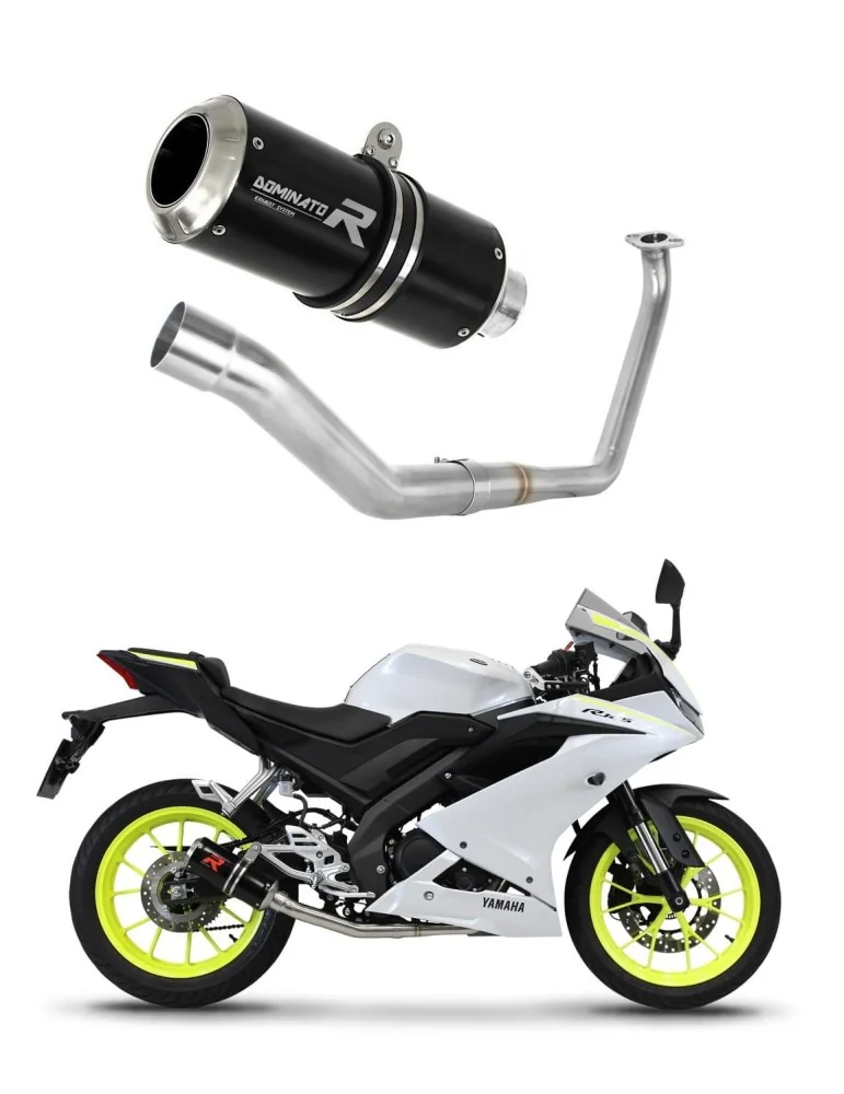 Ligne d'échappement complète inox Dominator GP Noir pour Yamaha YZF R125 (2019-2020)