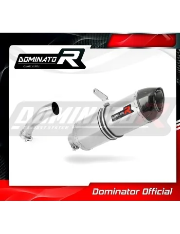 Silencieux slip-on homologué Dominator HP1 pour BMW R1200GS (2010-2012)