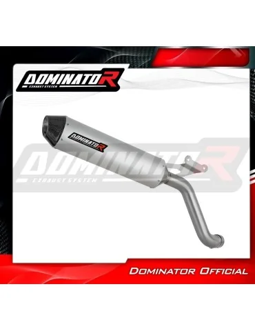 Silencieux slip-on Dominator MX2 pour Honda XL 750 Transalp (2023)