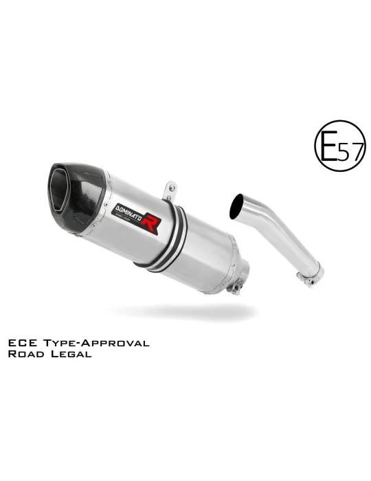 Silencieux slip-on homologué Dominator HP1 pour Yamaha FZS Fazer 600 (1998-2003)