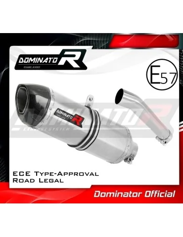 Silencieux slip-on homologué Dominator HP1 pour Yamaha FZS Fazer 600 (1998-2003)