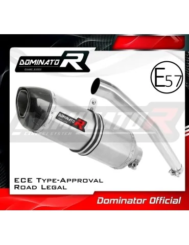 Silencieux slip-on homologué Dominator HP1 pour Yamaha YZF R6 (1999-2002)