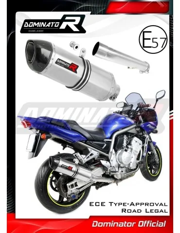 Silencieux slip-on homologué Dominator HP1 pour Yamaha FZS Fazer 1000 (2001-2005)