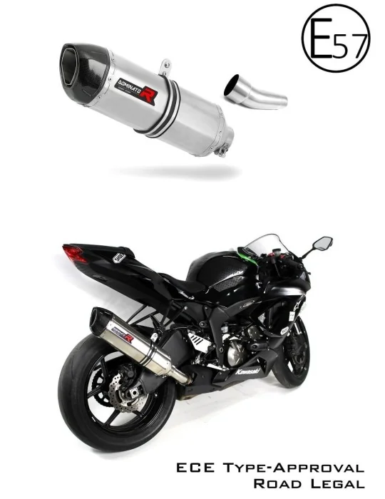 Silencieux slip-on homologué Dominator HP1 pour Kawasaki ZX6R 636 (2009-2020)