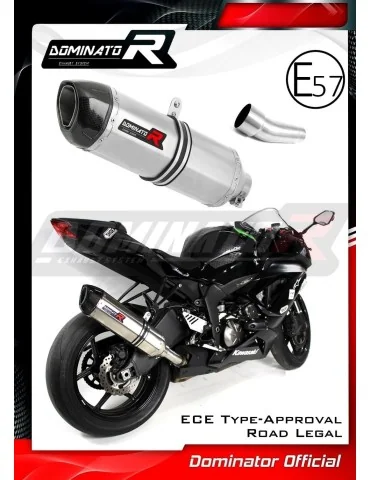 Silencieux slip-on homologué Dominator HP1 pour Kawasaki ZX6R 636 (2009-2020)