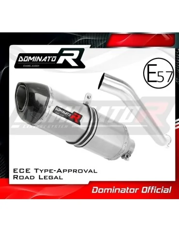 Silencieux slip-on homologué Dominator HP1 pour Kawasaki ZX6R 636 (2003-2004)