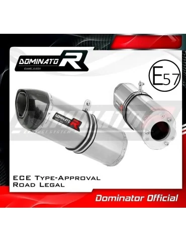 Silencieux bolt-on homologué Dominator HP1 pour Kawasaki ZX9R (1998-2002)