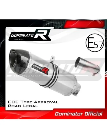 Silencieux slip-on homologué Dominator HP1 pour Kawasaki ZX10R (2011-2015)
