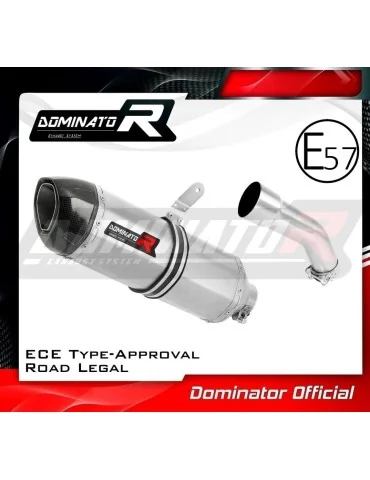 Silencieux slip-on homologué Dominator HP1 pour Kawasaki ZX10R (2008-2010)