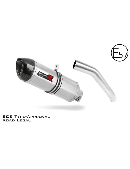 Silencieux slip-on homologué Dominator HP1 pour Kawasaki Z750 (2007-2012)