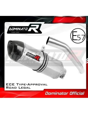 Silencieux slip-on homologué Dominator HP1 pour Kawasaki Z750 (2007-2012)