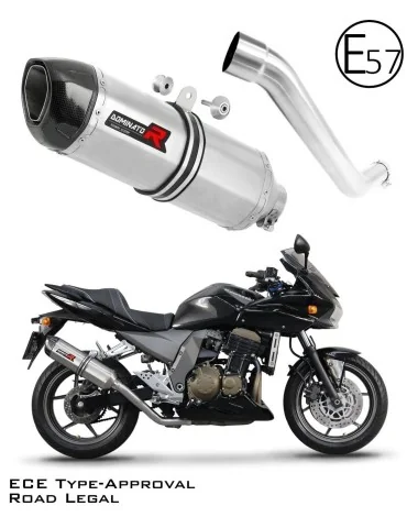 Silencieux slip-on homologué Dominator HP1 pour Kawasaki Z750 (2004-2006)