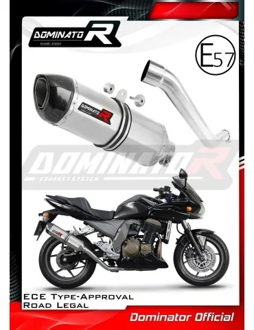 Silencieux slip-on homologué Dominator HP1 pour Kawasaki Z750 (2004-2006)