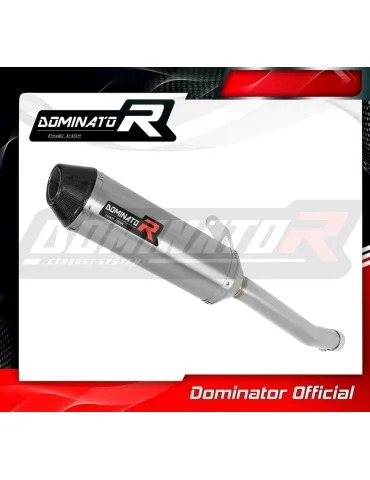 Silencieux slip-on Dominator HP3 pour Honda CBR 250 R (2011-2013)