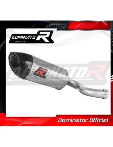 Silencieux slip-on Dominator HP5 pour Benelli BN 302 S (2016-2020)