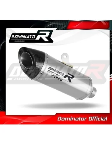 Silencieux slip-on Dominator HP8 pour Yamaha YZF R6 (2006-2016)