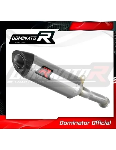 Silencieux slip-on Dominator HP8 pour KTM 890 Duke (2020-2023)