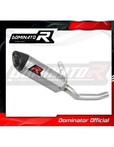 Silencieux slip-on Dominator HP8 pour Kawasaki Z800 (2013-2016)