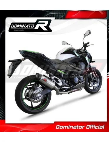 Silencieux slip-on Dominator HP8 pour Kawasaki Z800 (2013-2016)