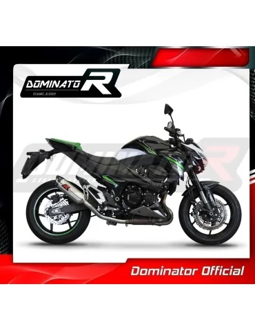 Silencieux slip-on Dominator HP8 pour Kawasaki Z800 (2013-2016)