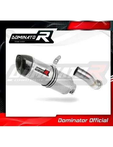 Silencieux slip-on homologué Dominator HP1 pour Kawasaki Z 900 (2020-2024)