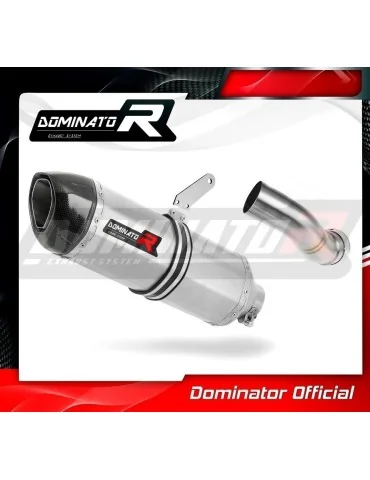 Silencieux slip-on homologué Dominator HP1 pour Kawasaki Z 900 (2017-2019)