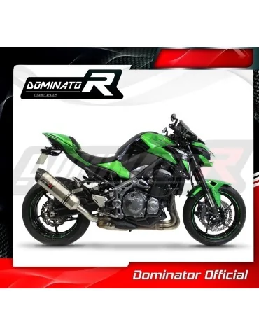 Silencieux slip-on homologué Dominator HP1 pour Kawasaki Z 900 (2017-2019)