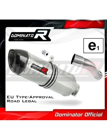 Silencieux slip-on homologué Dominator HP1 pour Honda CBR 600 F (2011-2015)