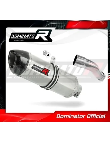 Silencieux slip-on homologué Dominator HP1 pour Honda CB 600F Hornet (2007-2013)