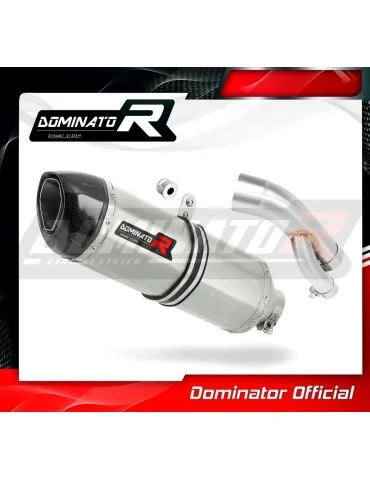Silencieux slip-on homologué Dominator HP1 pour BMW S1000R (2017-2020)