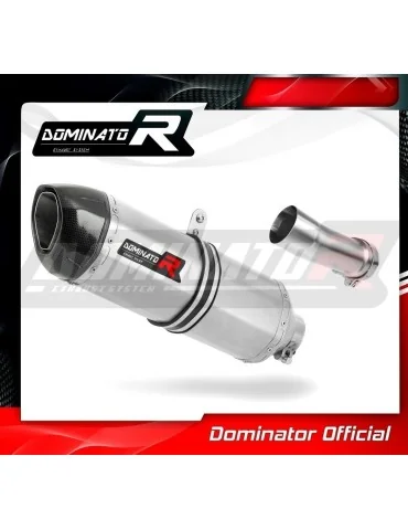 Silencieux slip-on homologué Dominator HP1 pour BMW R1200R (2015-2018)