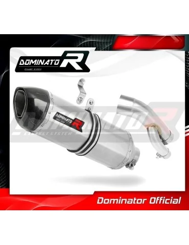 Silencieux slip-on homologué Dominator HP1 pour BMW S1000RR (2017-2018)