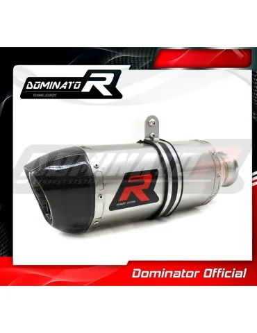 Silencieux slip-on Dominator HP1 pour KTM 1290 Super Duke / R (2014-2016)