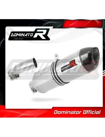 Silencieux slip-on homologué Dominator HP1 pour BMW R1200RT (2010-2013)